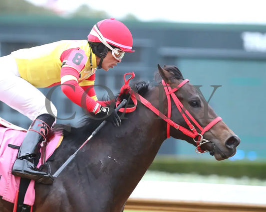 Coal Battle - The Smarty Jones Stakes 01-04-25 R09 Op Gallop Out 01 Oaklawn Park