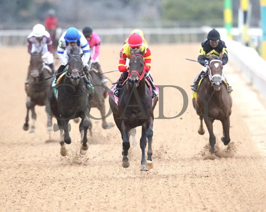 Coal Battle - The Smarty Jones Stakes 01-04-25 R09 Op Head On 01 Oaklawn Park