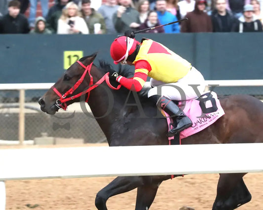 Coal Battle - The Smarty Jones Stakes 01-04-25 R09 Op Inside Finish 02 Oaklawn Park