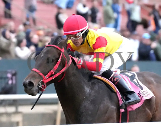 Coal Battle - The Smarty Jones Stakes 01-04-25 R09 Op Inside Finish 01 Oaklawn Park