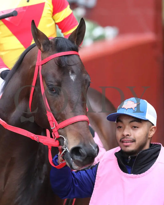 Coal Battle - The Smarty Jones Stakes 01-04-25 R09 Op Paddock 01 Oaklawn Park