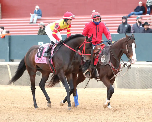 COAL BATTLE - The Smarty Jones Stakes - 01-04-25 - R09 - OP - Post Parade 02 - Coady Media - Kurtis Coady Photography