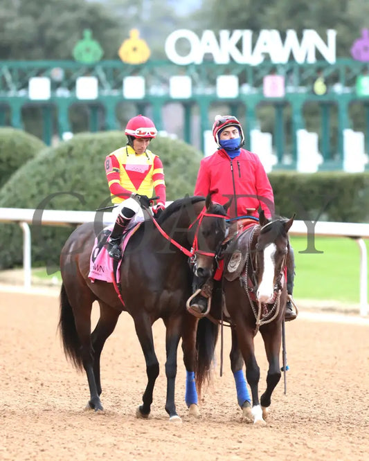 Coal Battle - The Smarty Jones Stakes 01-04-25 R09 Op Post Parade 03 Oaklawn Park