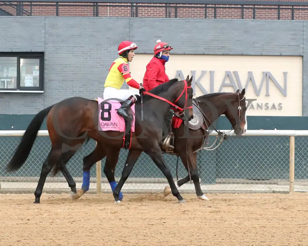 COAL BATTLE - The Smarty Jones Stakes - 01-04-25 - R09 - OP - Post Parade 01 - Coady Media - Kurtis Coady Photography