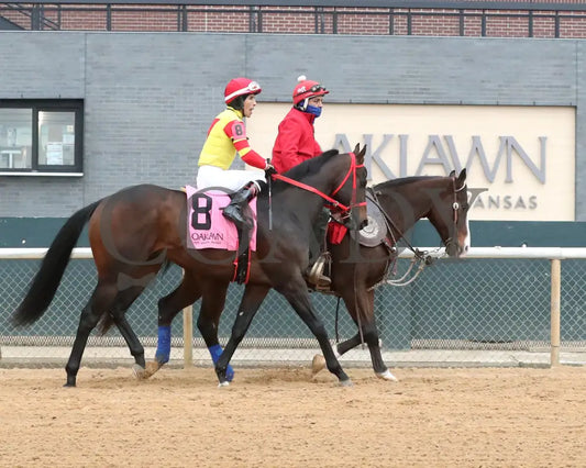 COAL BATTLE - The Smarty Jones Stakes - 01-04-25 - R09 - OP - Post Parade 01 - Coady Media - Kurtis Coady Photography