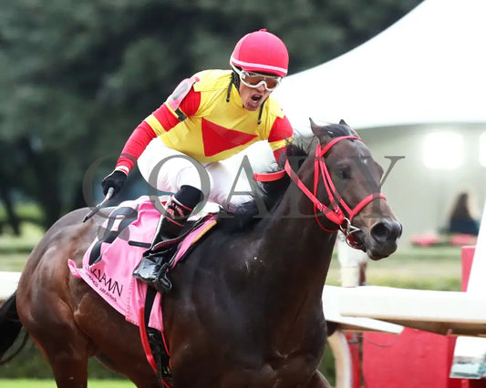 Coal Battle - The Smarty Jones Stakes 01-04-25 R09 Op Tight Finish 01 Oaklawn Park