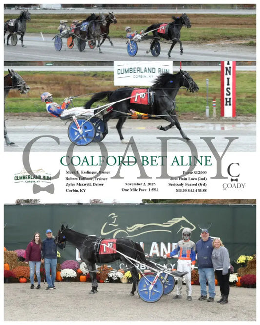 COALFORD BET ALINE - 110225 - Race 10 - CMR Presque Isle Downs