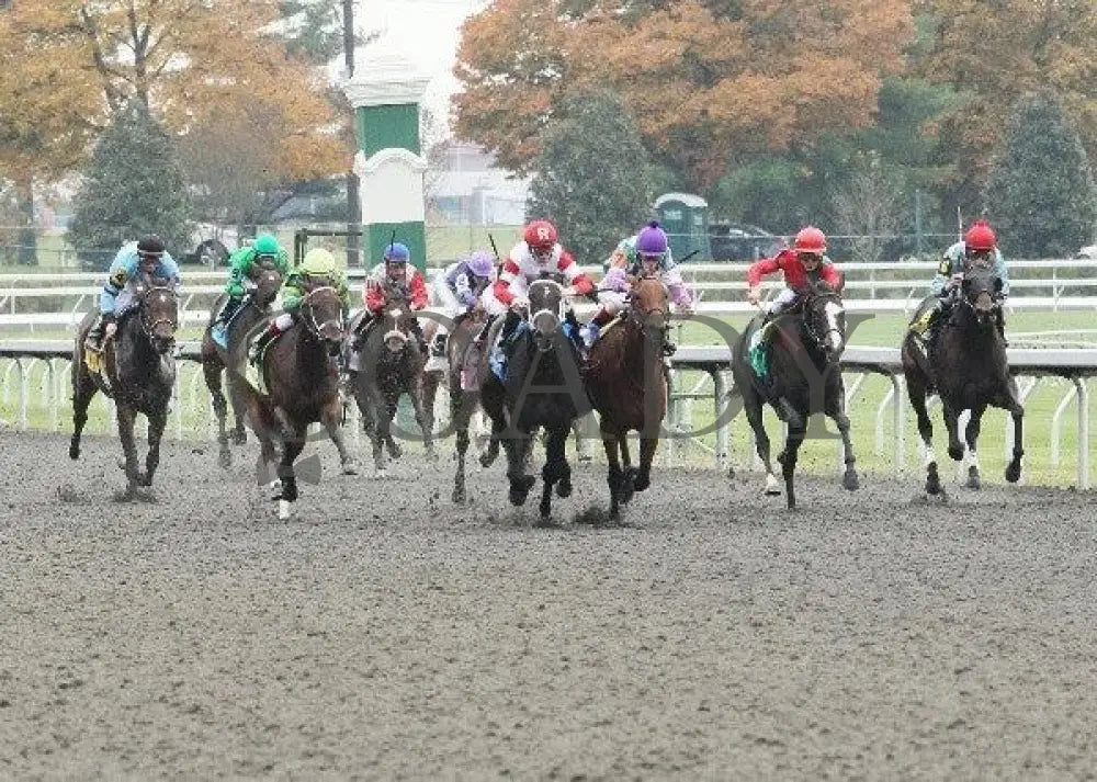 Cobra Kiss - 1 102611 Race 01 Keeneland