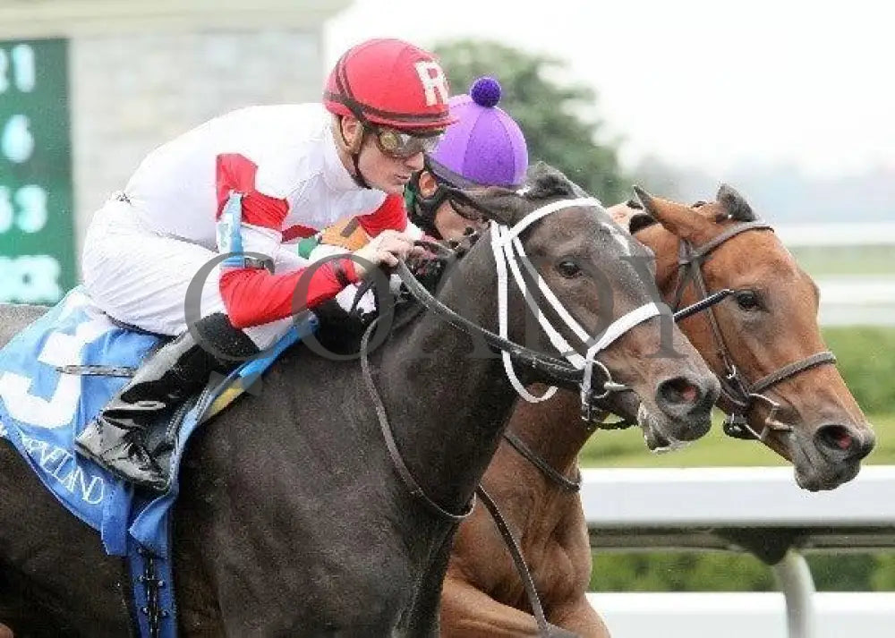 Cobra Kiss - 2 102611 Race 01 Keeneland