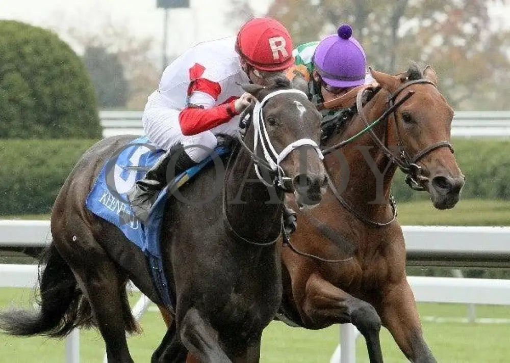 Cobra Kiss - 3 102611 Race 01 Keeneland