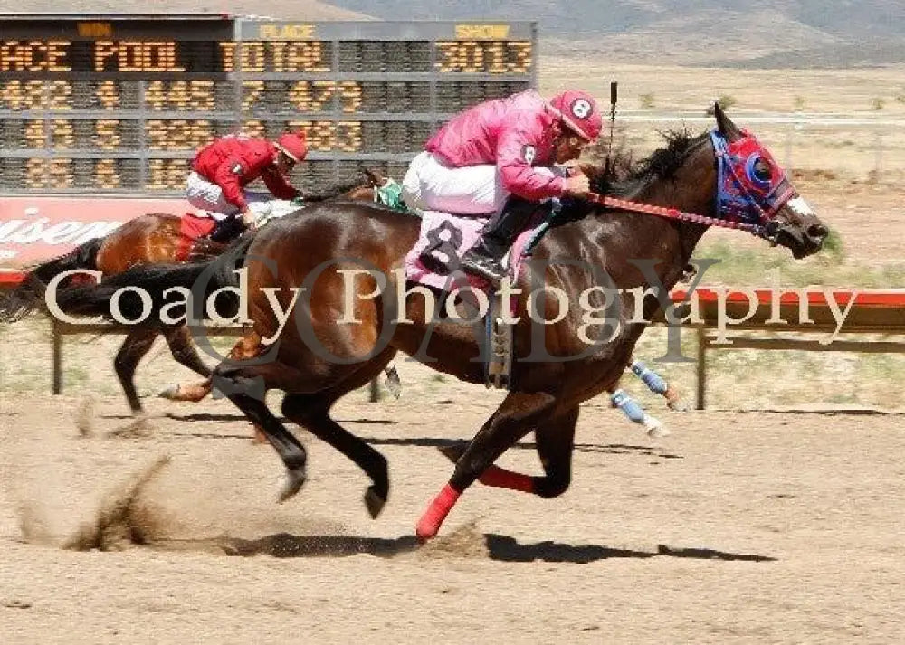 Cobrita - Prescott Valley Laddie/Lassie Futurity Yavapai Downs