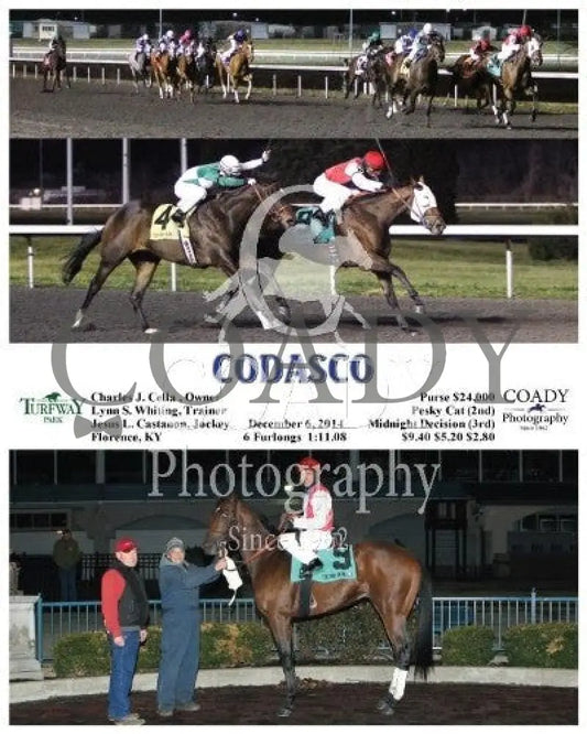 Codasco - 120614 Race 04 Tp Turfway Park