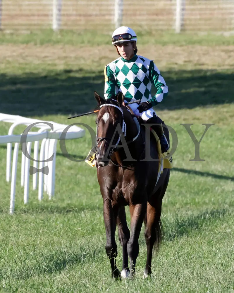 Cogburn - The Ainsworth Turf Sprint G2 09-07-24 R11 Kd Come Back 01 Kentucky Downs