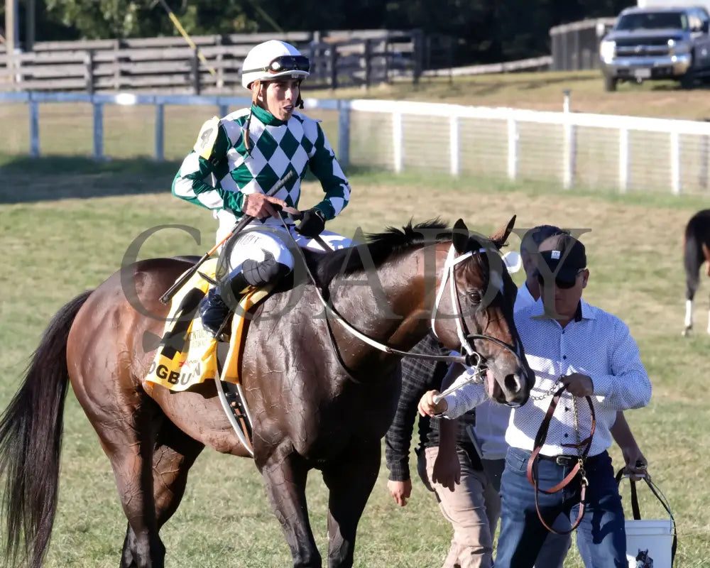 Cogburn - The Ainsworth Turf Sprint G2 09-07-24 R11 Kd Come Back 02 Kentucky Downs