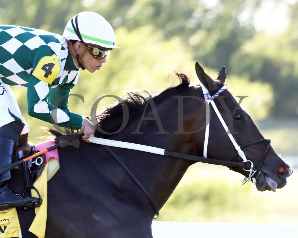 Cogburn - The Ainsworth Turf Sprint G2 09-07-24 R11 Kd Gallop Out 01 Kentucky Downs