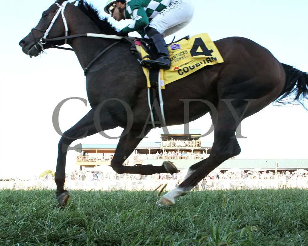 Cogburn - The Ainsworth Turf Sprint G2 09-07-24 R11 Kd Under Rail 03 Kentucky Downs
