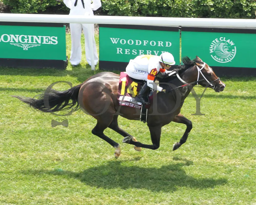 Cogburn - The Twin Spires Turf Sprint G2 05-04-24 R05 Churchill Downs Aerial Finish 01 James Johnson