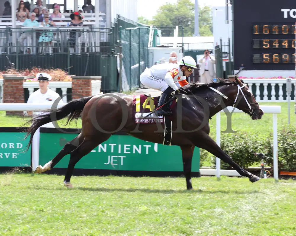 Cogburn - The Twin Spires Turf Sprint G2 05-04-24 R05 Churchill Downs Finish 01 Kurtis Coady