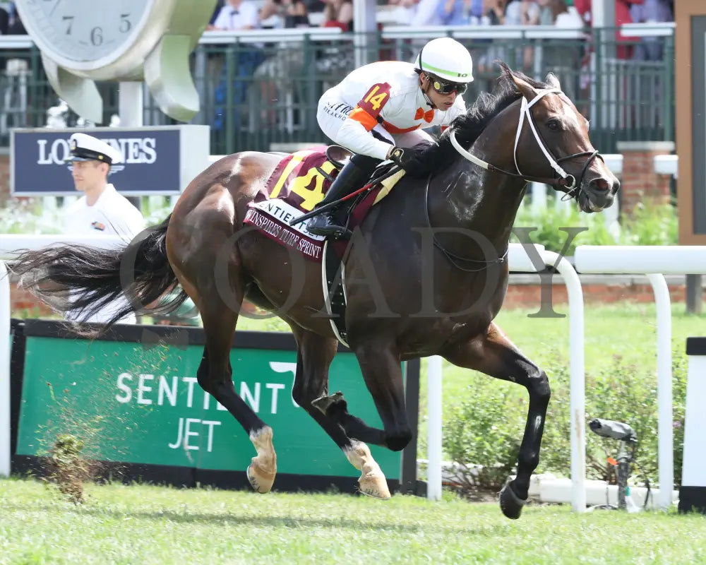 Cogburn - The Twin Spires Turf Sprint G2 05-04-24 R05 Churchill Downs Finish 02 Renee Torbit