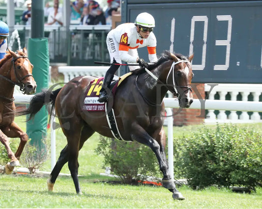 Cogburn - The Twin Spires Turf Sprint G2 05-04-24 R05 Churchill Downs Gallop Out 01 Ashley Phillips