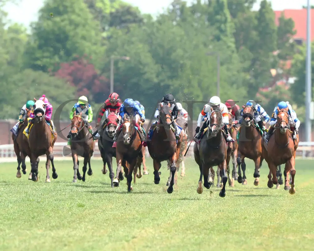 Cogburn - The Twin Spires Turf Sprint G2 05-04-24 R05 Churchill Downs Head On 01 Lauren Givhan