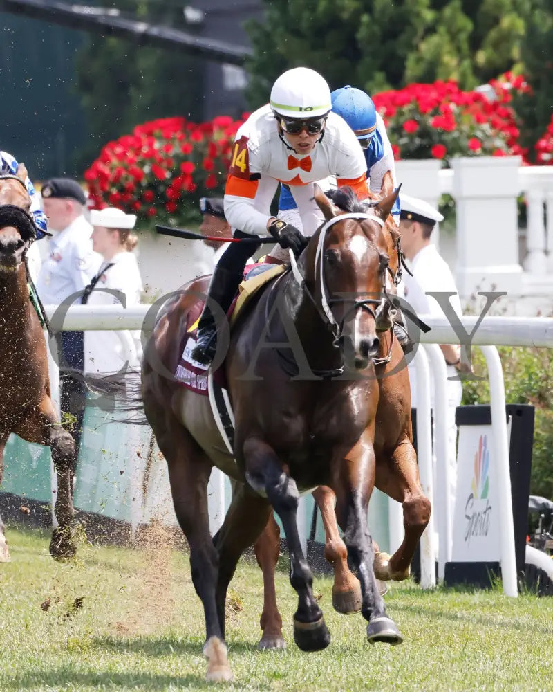 Cogburn - The Twin Spires Turf Sprint G2 05-04-24 R05 Churchill Downs Head On 02 Byron Butler