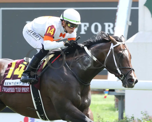 Cogburn - The Twin Spires Turf Sprint G2 05-04-24 R05 Churchill Downs Tight Finish 01 Renee Torbit