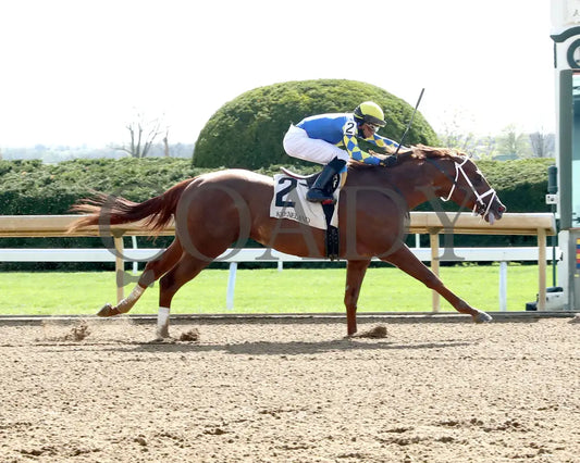 COLLOQUIAL - The Lafayette - 04-07-25 - R07 - KEE - Finish 01 Keeneland