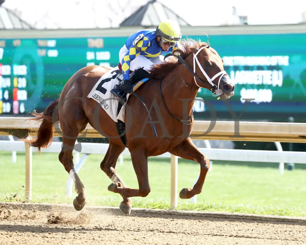 COLLOQUIAL - The Lafayette - 04-07-25 - R07 - KEE - Finish 02 Keeneland