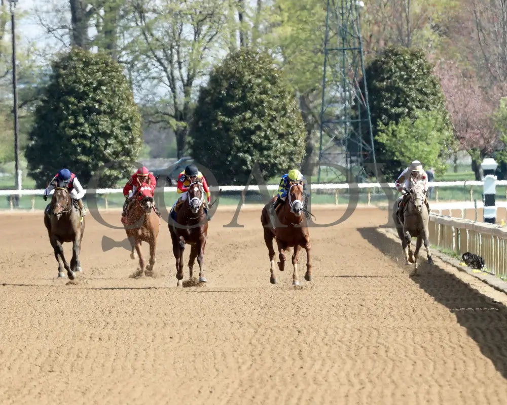COLLOQUIAL - The Lafayette - 04-07-25 - R07 - KEE - Head On 01 Keeneland