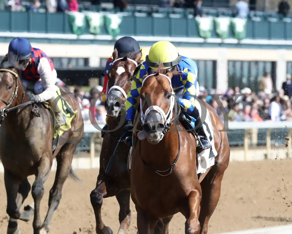 COLLOQUIAL - The Lafayette - 04-07-25 - R07 - KEE - Inside Finish 01 Keeneland