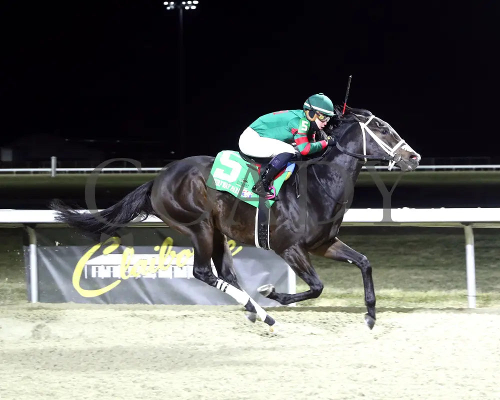 Coming In Hot - The 30Th Running Of The Turfway Prevue 01-04-25 R06 Tp Finish 01 Turfway Park