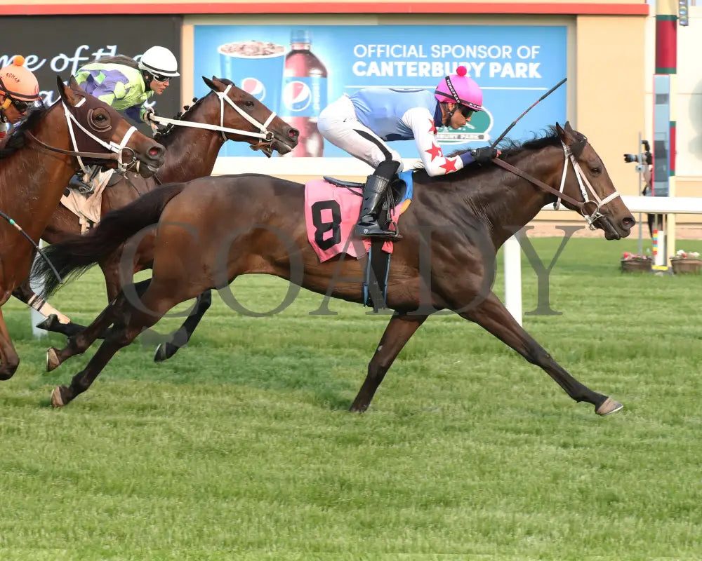 COMMISSIONER OSCAR - 05-31-25 - R03 - CBY - Finish 2 Canterbury Park