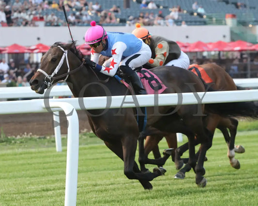 COMMISSIONER OSCAR - 05-31-25 - R03 - CBY - Inside Finish Canterbury Park