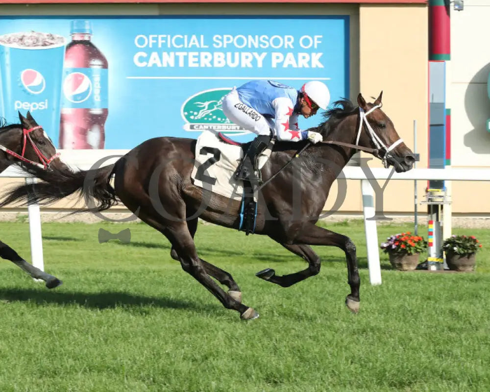 Commissioner Oscar - 08-10-24 R02 Cby Finish 2 Canterbury Park