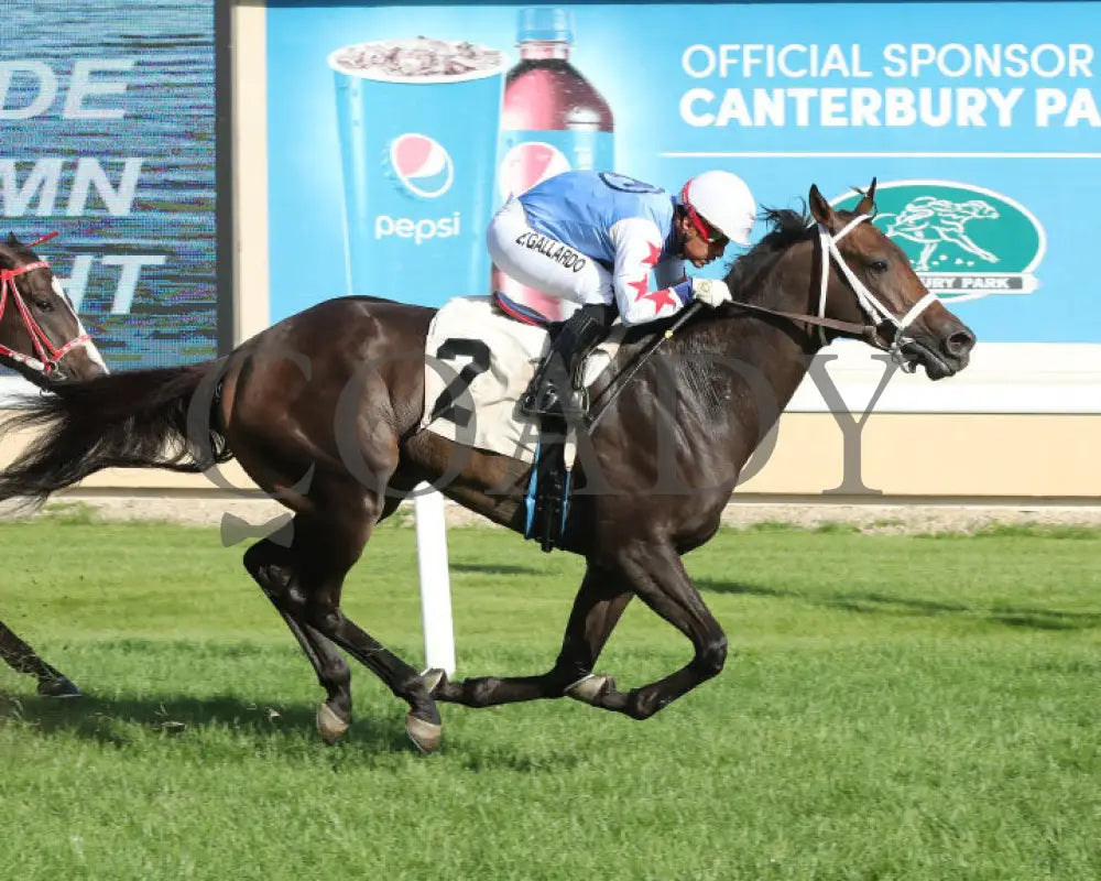 Commissioner Oscar - 08-10-24 R02 Cby Finish 4 Canterbury Park