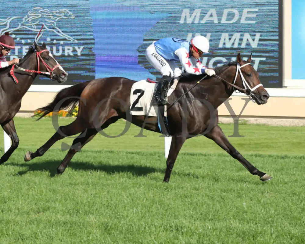 Commissioner Oscar - 08-10-24 R02 Cby Finish 5 Canterbury Park