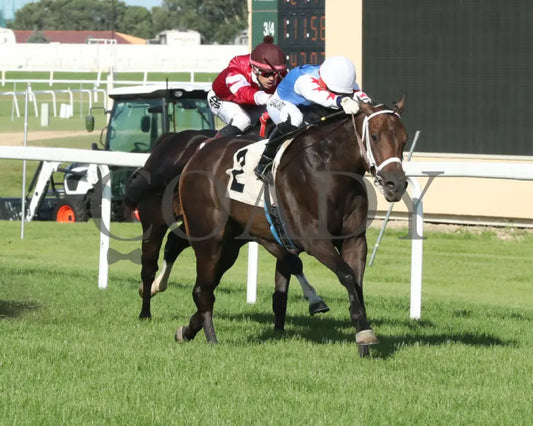Commissioner Oscar - 08-10-24 R02 Cby Finish 6 Canterbury Park