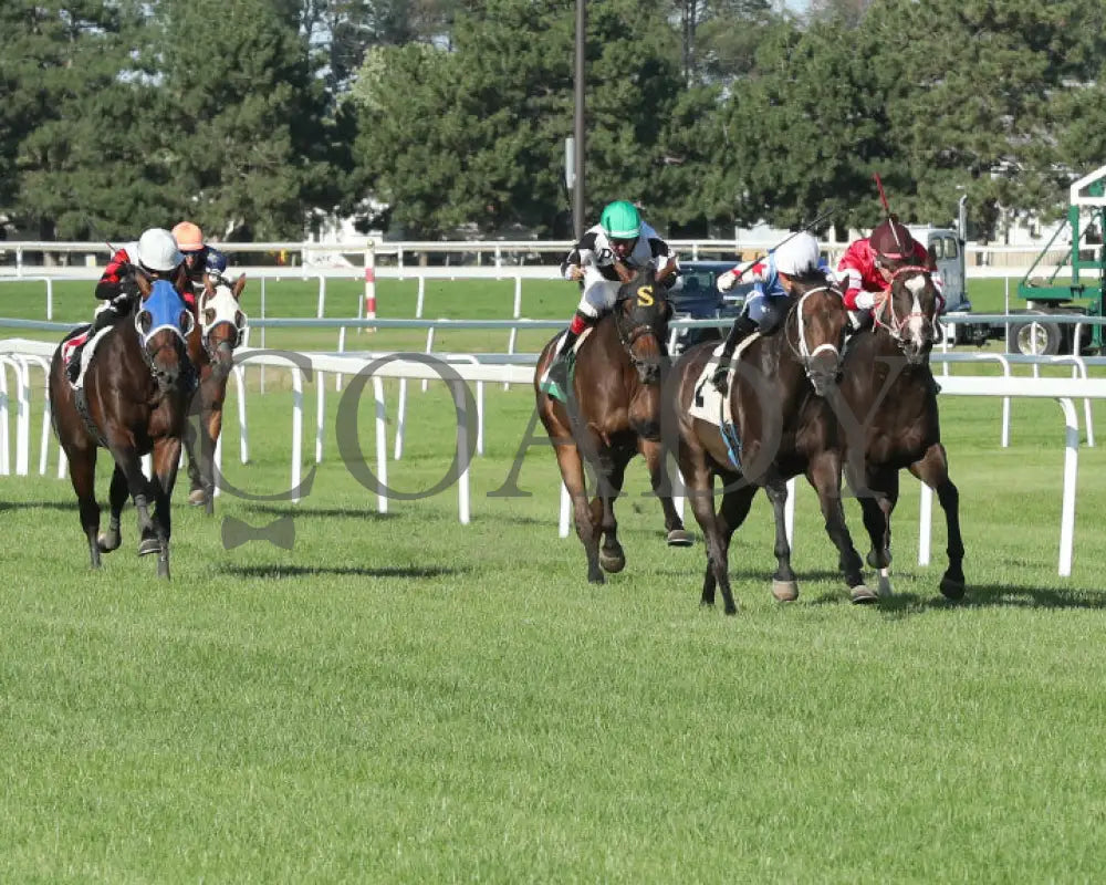 Commissioner Oscar - 08-10-24 R02 Cby Finish Canterbury Park