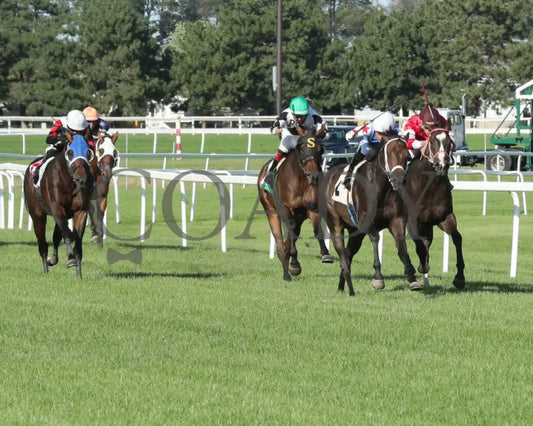 Commissioner Oscar - 08-10-24 R02 Cby Finish Canterbury Park