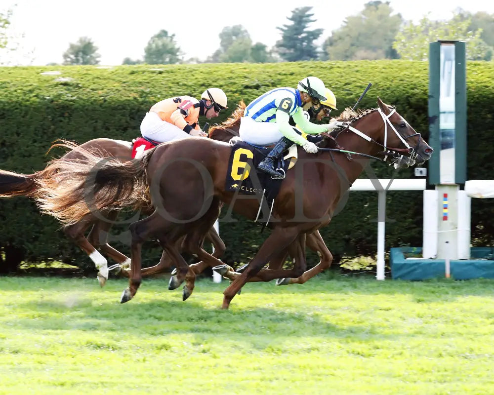 Committee Of One - The Indian Summer Presented By Keeneland Select 6Th Running 10-08-23 R08 Kee