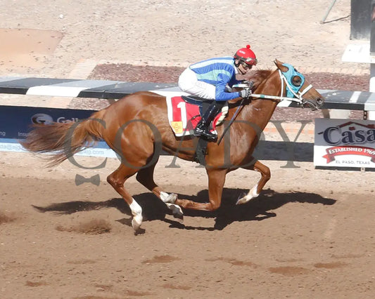 Community Leader - The 21St Running Of Red Hedeman Mile 02-18-24 R03 Sunland Park Aerial