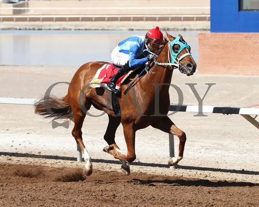 Community Leader - The 21St Running Of Red Hedeman Mile 02-18-24 R03 Sunland Park Finish
