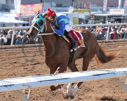 Community Leader - The 21St Running Of Red Hedeman Mile 02-18-24 R03 Sunland Park Inside Finish