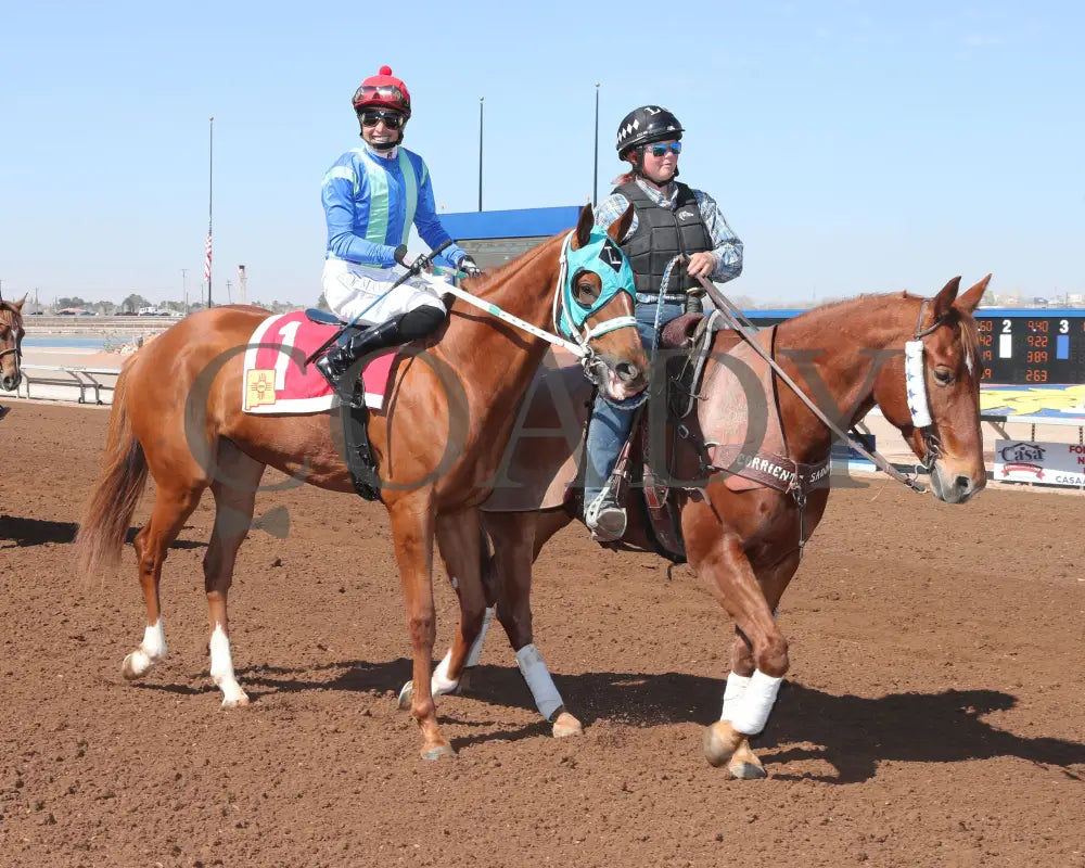 Community Leader - The 21St Running Of Red Hedeman Mile 02-18-24 R03 Sunland Park Post Parade