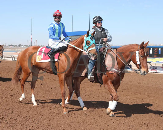 Community Leader - The 21St Running Of Red Hedeman Mile 02-18-24 R03 Sunland Park Post Parade