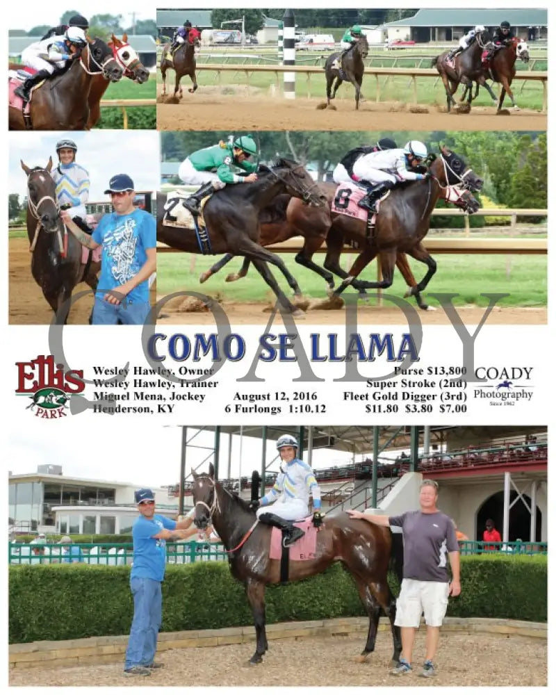 Como Se Llama - 081216 Race 06 Elp Ellis Park