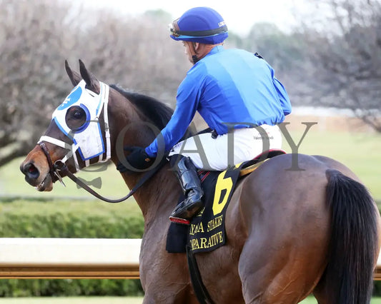 Comparative - Bayakoa Stakes G3 02-02-24 R09 Oaklawn Park Comeback 01