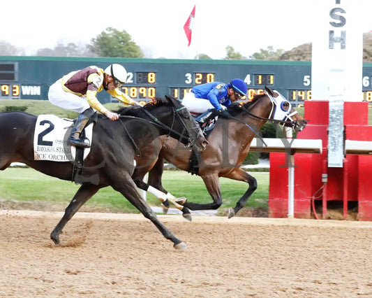 Comparative - Bayakoa Stakes G3 02-02-24 R09 Oaklawn Park Finish 01