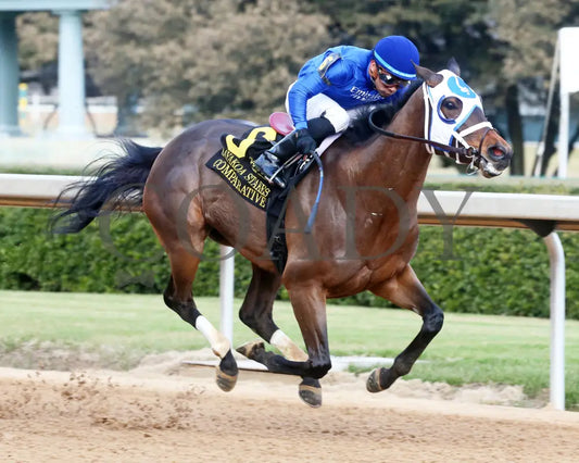 Comparative - Bayakoa Stakes G3 02-02-24 R09 Oaklawn Park Finish 02